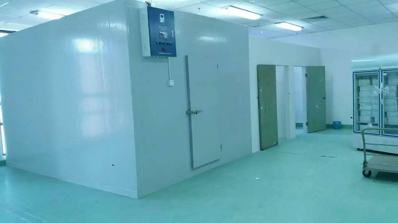 醫(yī)藥冷庫 藥監(jiān)局檢測 醫(yī)藥冷庫 藥監(jiān)局檢測